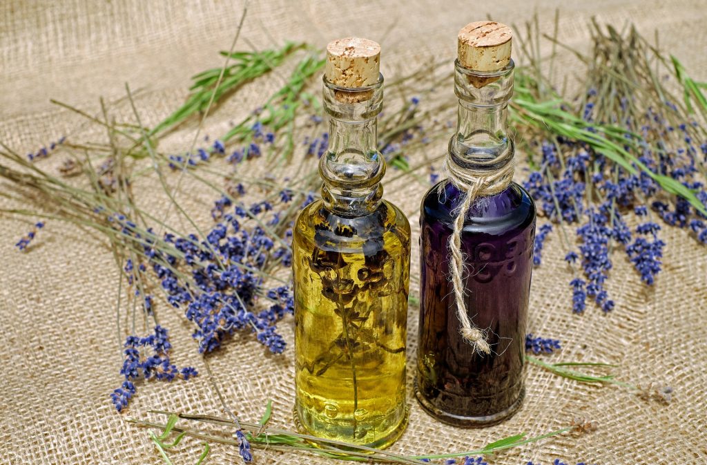 Harvesting Lavenders